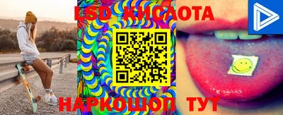 шишки Жуковский