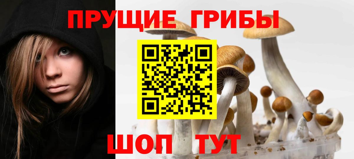 наркота  Псилоцибиновые грибы MAGIC MUSHROOMS  Вход с VPN  Каменск-Шахтинский 